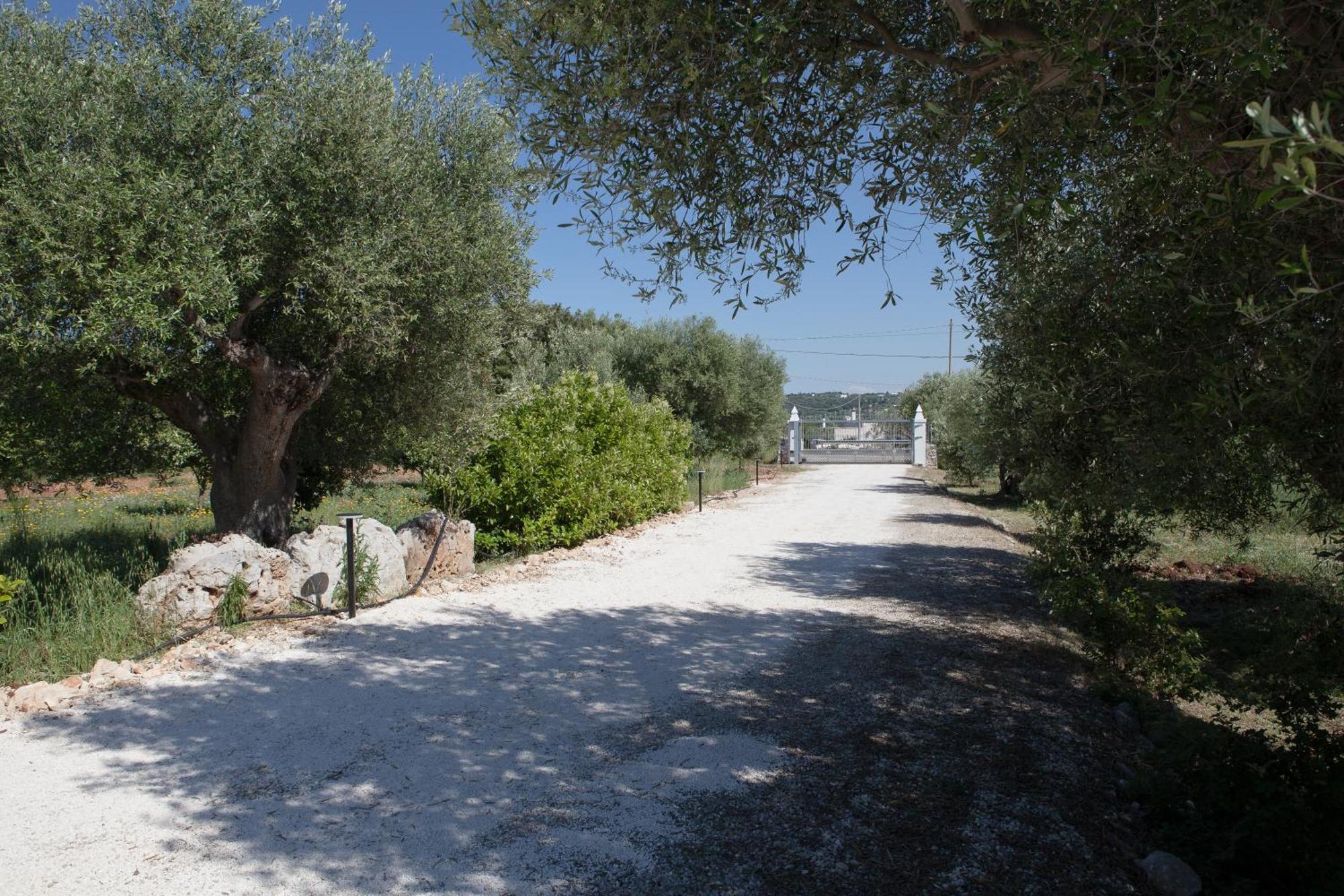 Masseria I Raffi B&B โมโนโปลี ภายนอก รูปภาพ